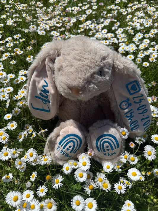Lapin de Naissance - LCT Custom